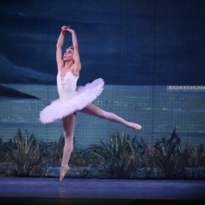Ballett „Schwanensee“