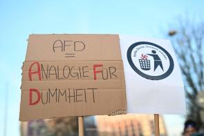 Pressefotografie in Dortmund von originellen Anti-AfD-Demo-Plakaten und -Schildern