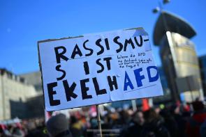Pressefotografie in Dortmund von originellen Anti-AfD-Demo-Plakaten und -Schildern